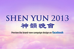 2013 Campaign Design T