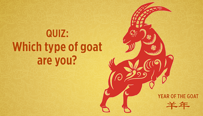 Goat Quiz