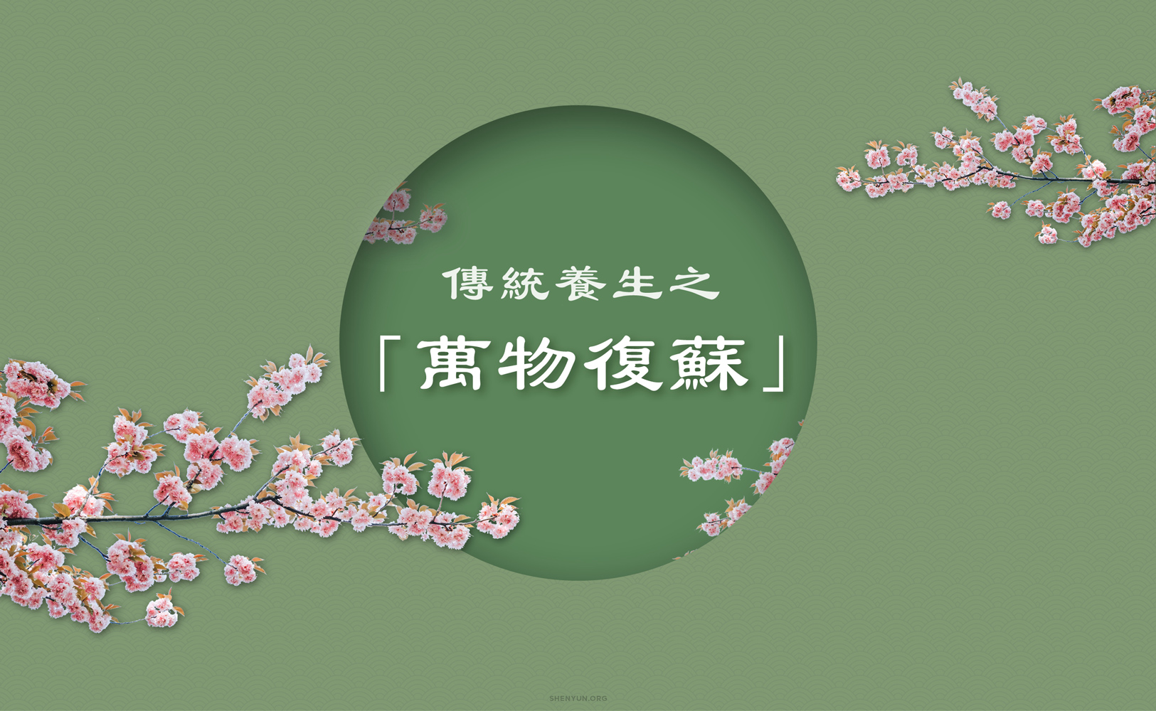 Lifehack Spring Header CHINESE