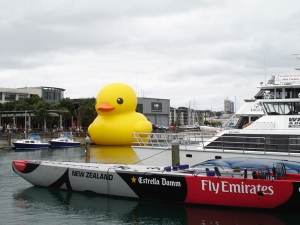 In Auckland vom Park am Berg Eden, konnten wir den Sky Tower sehen, den h&ouml;chsten Punkt der Stadt. (Danielle Wang)