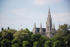 Och i sj&auml;lva staden s&aring;g vi Wiener Rathaus (r&aring;dhuset i Wien) som tornar upp sig h&ouml;gt &ouml;ver tr&auml;den. (Sebastian Chun)