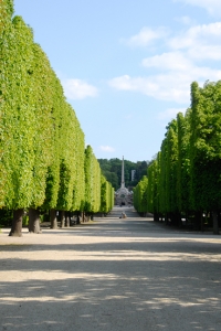 Nein, dies ist nicht schon wieder Versailles, immer noch Sch&ouml;nbrunn, in &Ouml;sterreich einfach bekannt als: Das Schloss Sch&ouml;nbrunn von der Gloriette. (TK Kuo)