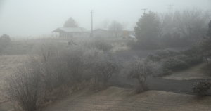 Il primo giorno ci ha portati in Oregon, dove la nebbia mattutina copriva le montagne. (Annie Li)