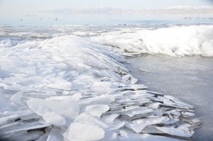 Wir besuchten einen Salzsee in der N&auml;he der Stadt Salt Lake City, Utah. Beachten Sie die besonders geformten Eis-Chips. (Annie Li)