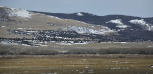 We visited a salt lake near Salt Lake City, Utah. Note the peculiarly shaped ice chips. (Annie Li)