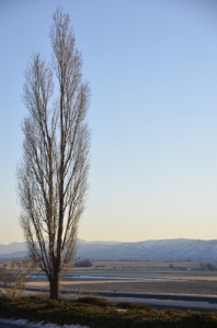 Blackfoot mountains, also known as or Blackfoot Range, in Idaho. (Annie Li)