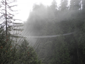 Aus dem Nebel, zwischen Baumwipfeln, &uuml;ber einer tiefen Schlucht erhebt sich ein Alptraum f&uuml;r Menschen mit H&ouml;henangst - Die Capilano Suspension Bridge. (Foto von Brazeline Chau; Nikon 7100).