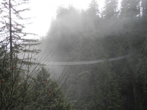 雲霧中，樹頂上，一個深深的峽谷之上，恐高癥患者的噩夢 - 卡普蘭奴吊橋 (Brazeline Chau; Nikon 7100)。