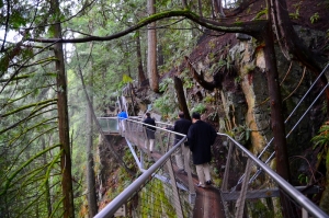 Molte persone trovano pi&ugrave; da brivido questa esperienza che il ponte stesso, perch&eacute; quando guardi sotto attraverso i listoni stretti, vedi quasi tutto il burrone. (David Chou; Nikon D7000)