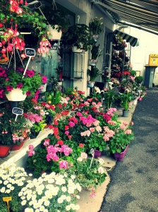 La vie en rose! Take time to smell the flowers in one of the numerous florists that line the streets of Paris.