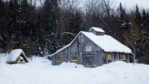 Photo 1 : &Agrave; quelques minutes seulement du centre, la ville de Qu&eacute;bec ressemble &agrave; une station de ski. (Photo du danseur Steve Feng) Photo 2 : Notre plus grande exp&eacute;rience de la ville de Qu&eacute;bec est qu&#039;il y fait vraiment froid, comme peut l&#039;attester Steve Feng. (Ma photo)