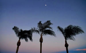 Moonrise di King Center saat Performing Arts di Melbourne, Florida, di mana Shen Yun International Company tampil. (foto oleh projectionist Annie Li)