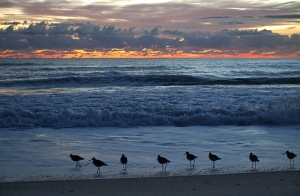 Dan di Melbourne, Florida. (foto oleh projectionist Annie Li)