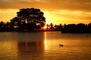 ...il tramonto camminando attraverso il Langley Park (foto del ballerino Mark Kao)
