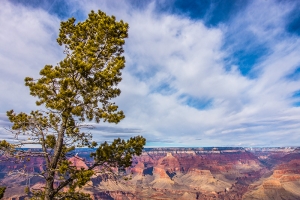 Grand Canyon. (foto oleh penari Kenji Kobayashi)