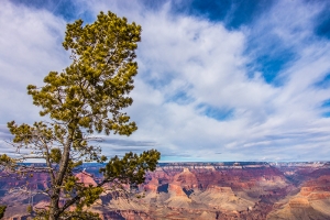 Le Grand Canyon. (Photo par le danseur Kenji Kobayashi)
