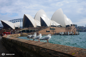 Wizyta w Sydney Opera House, chwila spokoju i harmonii… (fot. tancerz Ben Chen)
