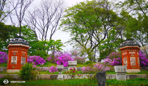 Les jardins à l’intérieur du palais Gyeongbokgung. (Photo Jun Liang) 
