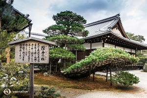 A poslední fotka chrámu Kinkaku-ji vystavěného dle architektonických rysů čínské dynastie Tang. (fotil tanečník Kenji Kobayashi)
