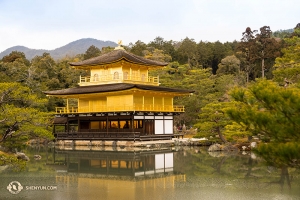 京都鹿苑寺，又名金閣寺，外牆以金箔貼就。是幕府將軍足利義滿建造。（攝影：小林建司）
