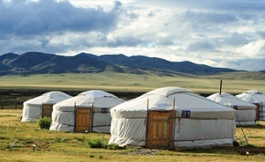 Mongolian Thumb