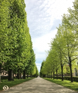 Proche du théâtre, une longue allée d’arbres mène à un magnifique parc. Il reste encore à la compagnie plusieurs villes à visiter en Europe, comme Berlin et Francfort en Allemagne. (Photo de la projectionniste Regina Dong)
