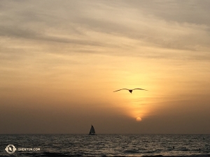 And a quiet stroll accompanied by a romantic sunset. (Photo by Regina Dong)
