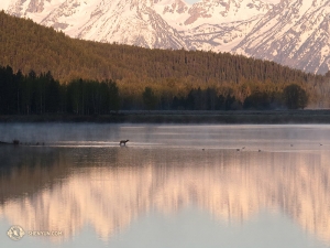 To zdjęcie zrobiła w czwartym na jej liście parku narodowym, Grand Teton w stanie Wyoming. Wschód słońca nad Oxbow Bend. (fot. Kexin Li)
