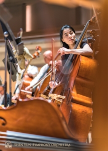 Mighty instruments, mighty musicians. Hui-Ching Chen and the double bass section.
