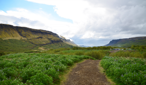 Op de route naar de op twee na hoogste waterval van IJsland, Glymur. (Fotografisch bewijs dat IJsland niet een land van ijs is).