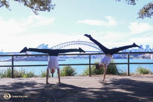 Sul lato opposto del porto di Sydney, i ballerini si mettono in posa (foto del ballerino Nick Zhao)
