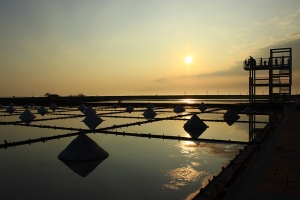 These salt fields were originally established from a desert in 1818. (Photo by violinist Darrell Wang)
