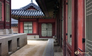 The Shen Yun International Company was in town for ten performances in four cities, but still managed to find time to explore these Joseon Dynasty palace buildings. (Photo by projectionist Annie Li)
