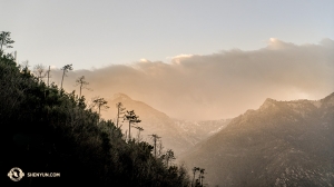 En effectuant la tournée en Europe, nous voyageons d'un pays à l'autre, et parfois revenons dans le même pays. Le premier danseur Kenji Kobayashi a réussi à prendre cette majestueuse photo des Alpes lors de notre voyage de la Suisse vers la France.
