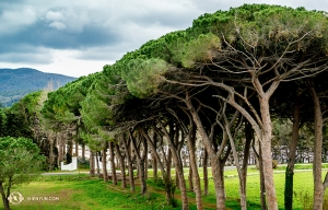 Le premier danseur Kenji Kobayashi a également réussi à prendre cette photo de paysages de campagnes en Europe. 
