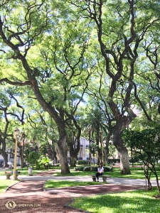 Tymczasem w Buenos Aires, śpiewaczka Shen Yun Touring Company, Rachael Bastick, napawa się otoczeniem drzew w parku przed  San Martín Palace. Zespół uświetnił scenę Teatro Ópera w Argentynie aż 10 występami. (kinooperatorka Jin Ye)