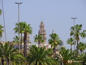 Intressant nog är de flesta palmerna som ses över hela området faktiskt inte ursprungligen från Barcelona. (Foto: Tony Zhao)
