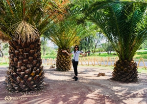 Di Taman Safari Afrika di Puebla, penyanyi Rachel Bastick berdiri diantara pepohonan yang mirip dengan nanas raksasa.
