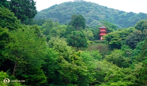 前往富士山腳下靜岡淺間神社的途中。
