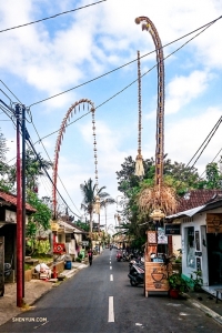 En färgstark, livlig gata i Ubud, Bali.
