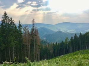 Jadąc przez Tatry, zatrzymuje się, by cieszyć się świeżym powietrzem i zrobić zdjęcia.
