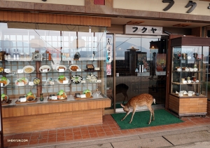 In eateries throughout Japan, plastic versions of the meals offered are often displayed in the shop windows. Oh deer, this potential customer seems quite tempted.
