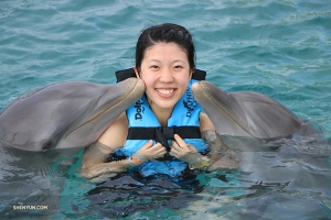 Berkenalan dengan teman-teman baru di Dolphin Cove.
