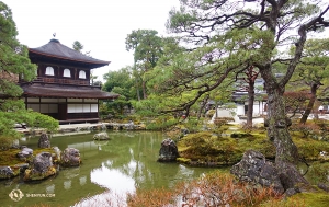 Idag valde vi att först besöka den lite mindre kända Ginkaku-ji (Silverpaviljongen) istället för den skrivbordsunderläggsberömda Kinkaku-ji (Guldpaviljongen), som ligger på en annan plats i Kyoto. (Foto: Shawn Ren)
