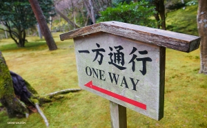 Wünscht man sich nicht, dass alle „ONE WAY“-Straßenschilder in der Stadt so schön aussehen würden? (Foto: Ben Chen)
