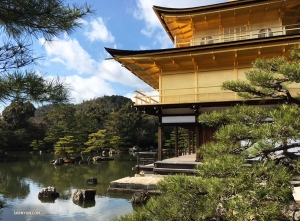 Dancer Betty Wang decides to check out the Kinkaku-ji (the Golden Pavilion), in Kyoto.
