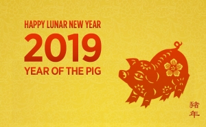 CNY Header Yearofthepig