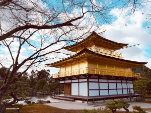 Volgende missie: De dansers van Shen Yun World Company zijn vastbesloten om het beroemde Gouden Paviljoen in al zijn pracht vast te leggen. (Foto door Lily Wang) 
