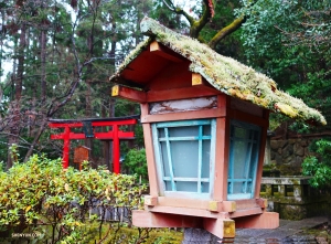 Wandelen door Arashiyama is als het betreden van een andere wereld. (Foto door danser Jeff Chuang) 
