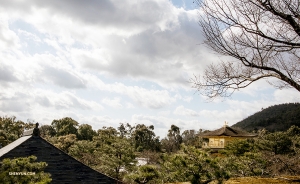 멀리서 바라본 킨카쿠지(金閣寺). (Photo by dancer Michelle Wu)
